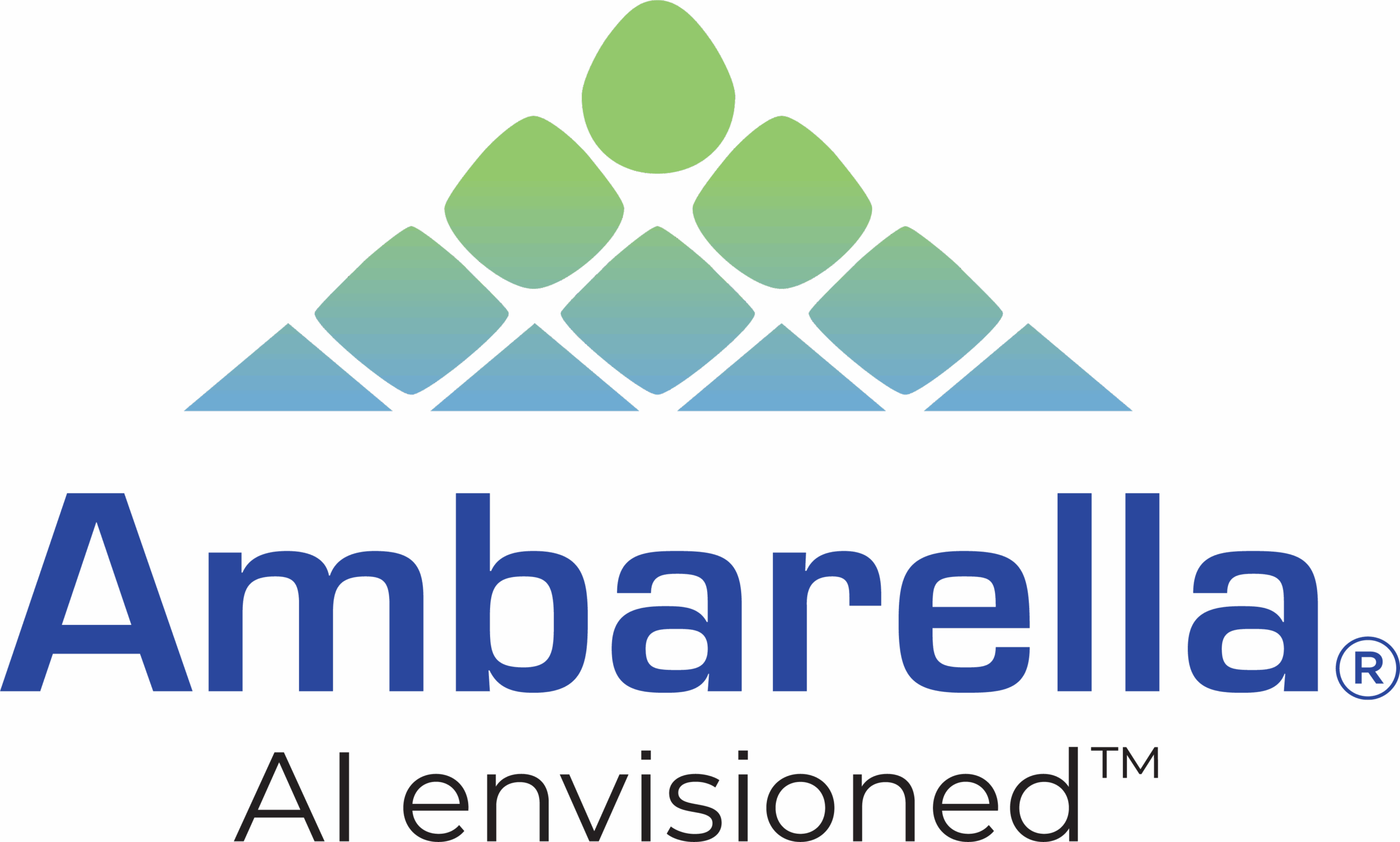 Ambrella AI_envisioned_cmyk_large