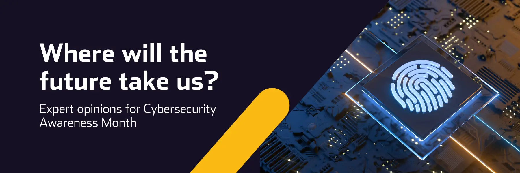 Cybersecurity - where will the future take us?