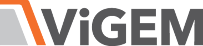 ViGEM